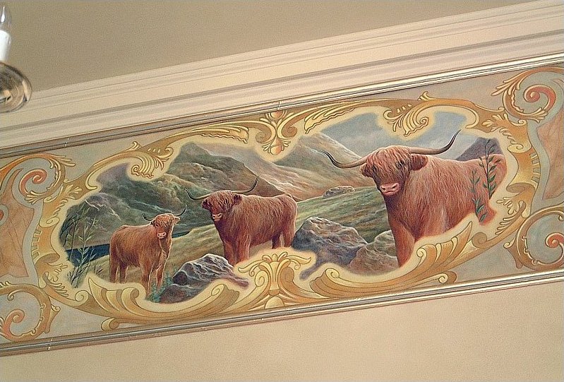 Highland cows