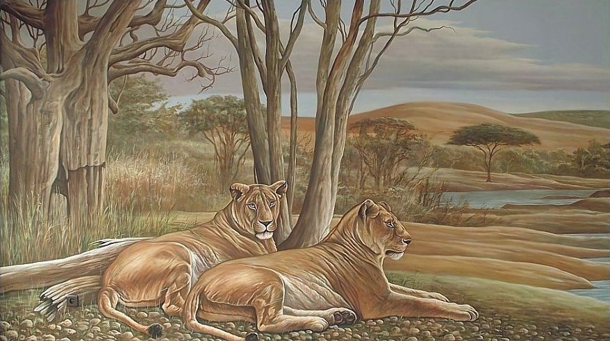 Vanop een wat grotere afstand safari